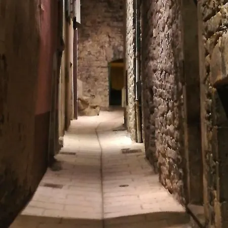Le Merle Monqueur Millau